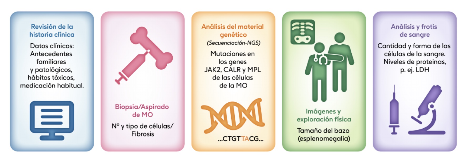 Infografía sobre el diagnostico de la mielofibrosis.