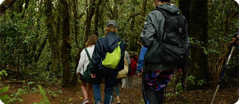 Fotografía de tres de las protagonistas bajando por un bosque durante la grabación de la segunda etapa del Camino a la Esperanza.