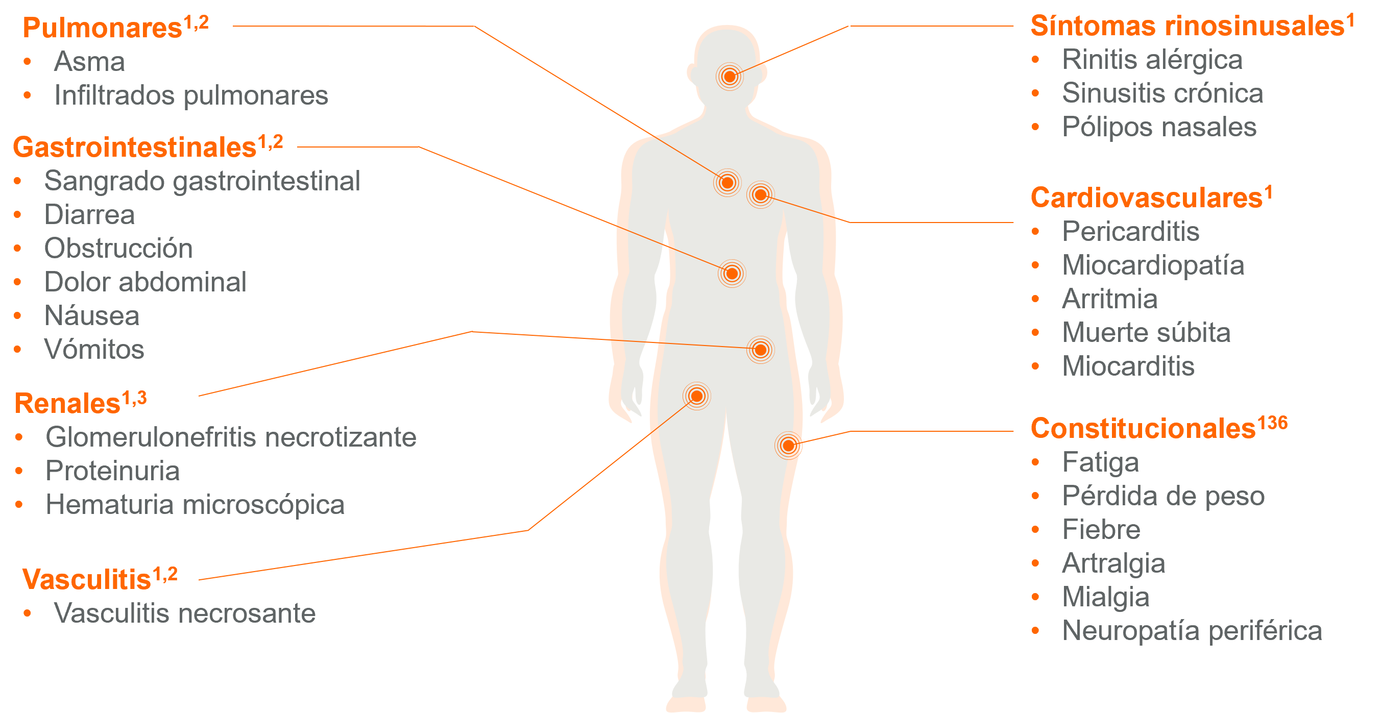 GEPA (Churg-Strauss)