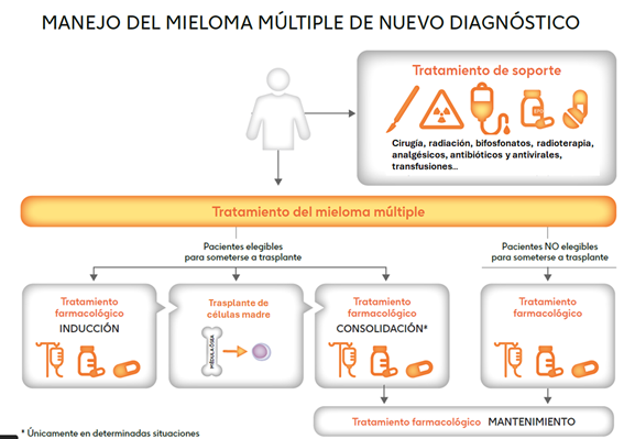 Infografia tratamiento 2-mieloma múltiple