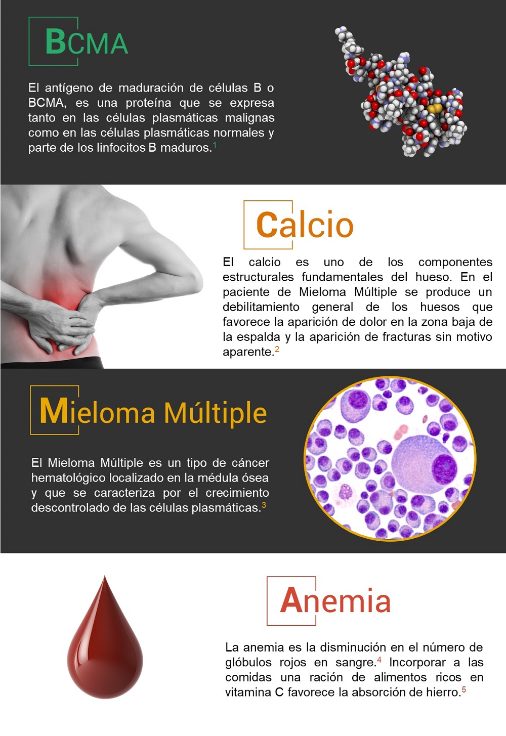 Antígeno de maduración de células B
