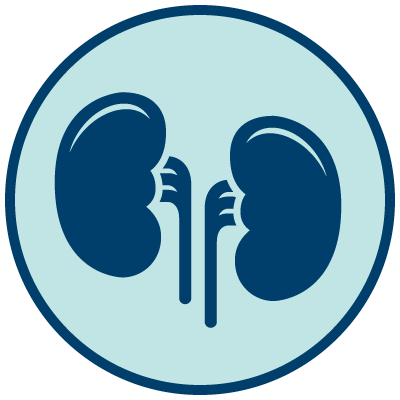 Icono azul de unos riñones