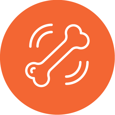 Icono naranja de un hueso