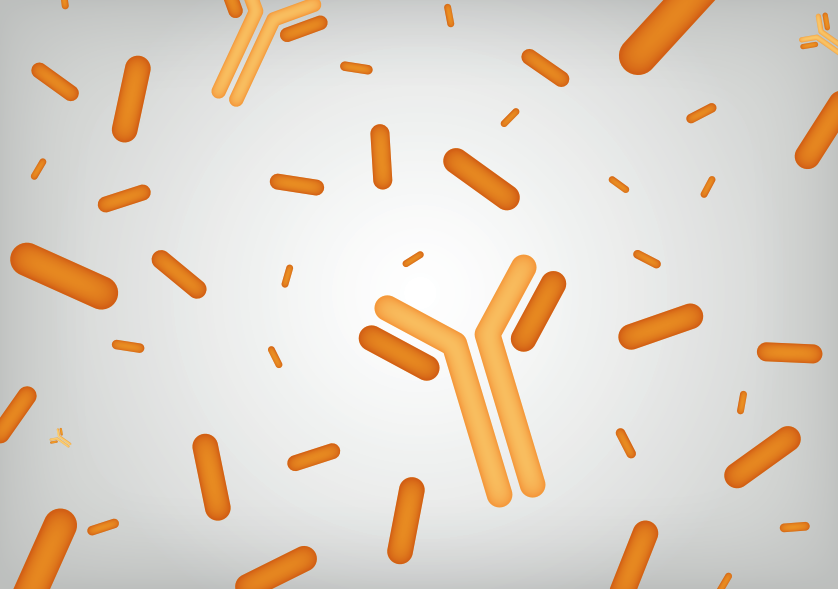 Producción de paraproteinas