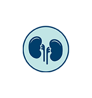 Icono azul de unos riñones