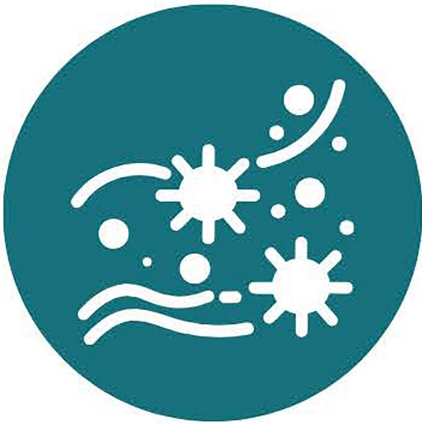 Infografía ¿Cómo se transmite el VRS?